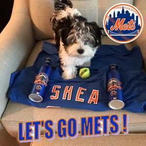 Meet your Posher, Dawn